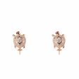 Ladies  Earrings Lancaster JLA-EAR-TURTLE-2 1,2 cm Online now