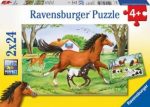 RAVENSBURGER WORLD OF HORSES PUZZLE 2X24PC For Sale